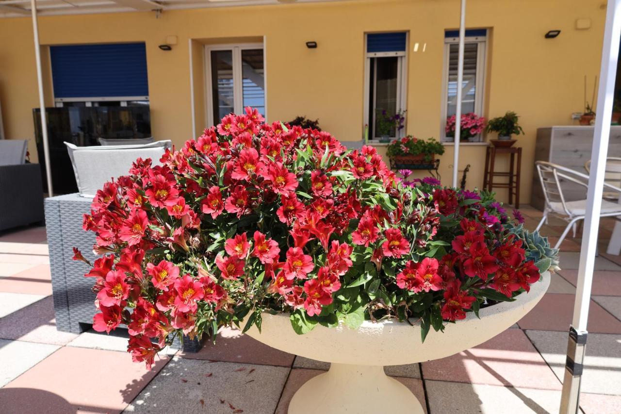 לאווניה Albergo Stella Di Mare מראה חיצוני תמונה